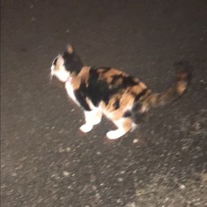 Meet your Posher, Angie